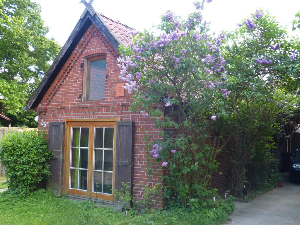 Ferienhaus Elbtalaue Bleckede Bilik gambar
